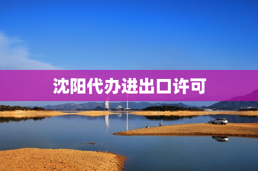 沈阳代办进出口许可(技术进出口许可证)