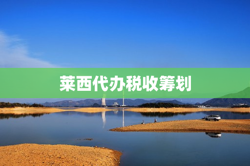 莱西代办税收筹划(青岛记账报税)