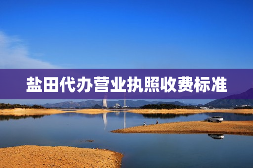 盐田代办营业执照收费标准(代办营业执照一般要多少钱)