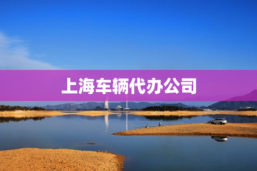 上海车辆代办公司(上海代驾公司)