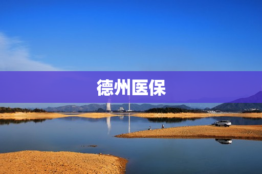 德州医保(德州市医保局电话)