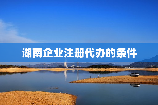 湖南企业注册代办的条件(湖南省在广州身份证代办点)