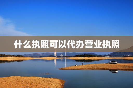 什么执照可以代办营业执照(可以代办营业执照吗)