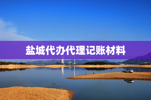 盐城代办代理记账材料(全国代理记账公司)