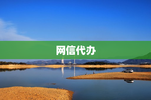 网信代办(网络办理)