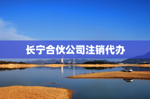 长宁合伙公司注销代办(民办非企业被强制注销)