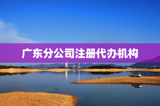 广东分公司注册代办机构(东莞代办公司注册公司)