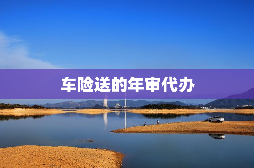 车险送的年审代办(车险代办)