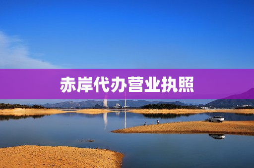 赤岸代办营业执照(代办注销营业执照)