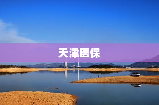 天津医保(天津医保怎么报销)