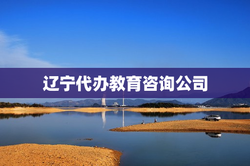 辽宁代办教育咨询公司(开教育咨询公司条件)