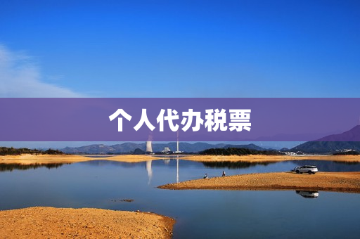 个人代办税票(个人如何申请税票)