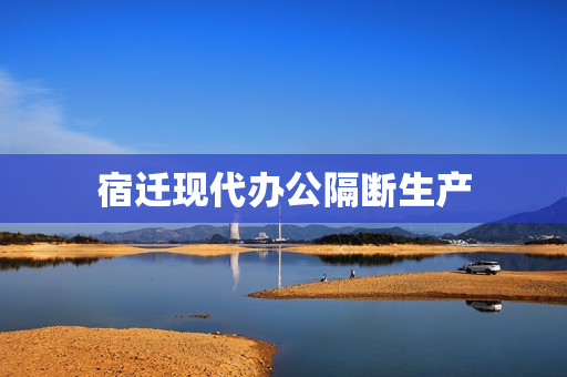 宿迁现代办公隔断生产(屏风隔断柜)
