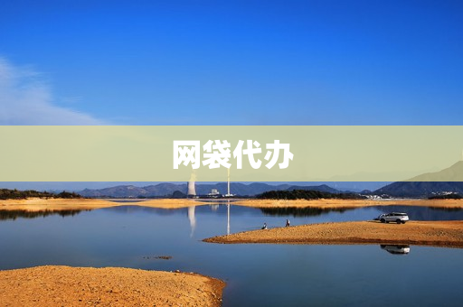网袋代办(一次性网袋子)