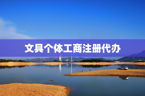 文具个体工商注册代办(文具店营业执照办理流程)