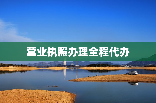 营业执照办理全程代办(营业执照怎么代办)