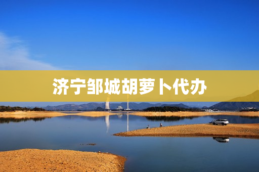 济宁邹城胡萝卜代办(济宁有几个县)