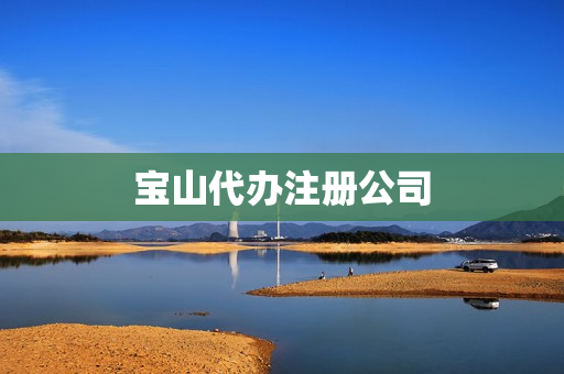 宝山代办注册公司(上海宝山园区注册公司)