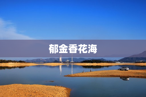 郁金香花海(昆明郁金香花海在哪里)