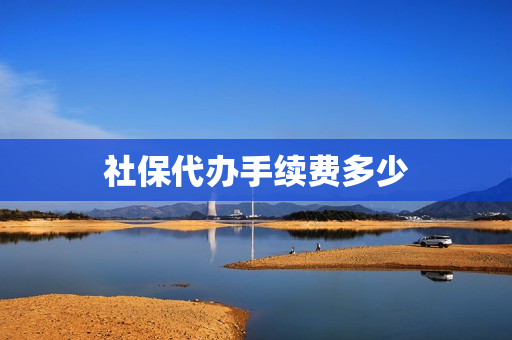 社保代办手续费多少(代办社保一般收费多少)