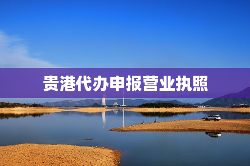 贵港代办申报营业执照(防城港代办营业执照)