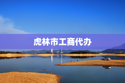 虎林市工商代办(工商代办服务公司)