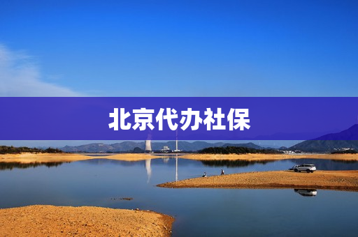 北京代办社保(北京代办社保的公司)
