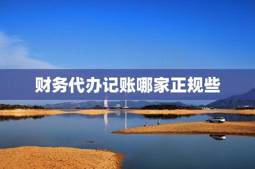 财务代办记账哪家正规些(简单的财务记账软件)