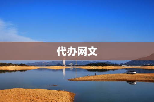 代办网文(写网文的平台)