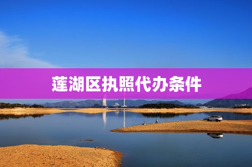 莲湖区执照代办条件(个人营业执照办理)