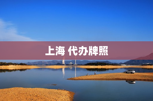 上海 代办牌照(上海买车上外地牌照)