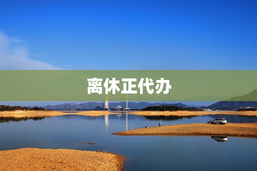 离休正代办(代办退休手续机构)