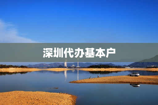深圳代办基本户(深圳注册公司代办价格)