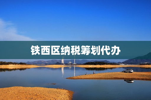 铁西区纳税筹划代办(成都税务筹划代理)