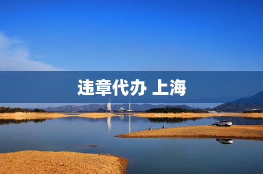 违章代办 上海(违章可以代办吗)