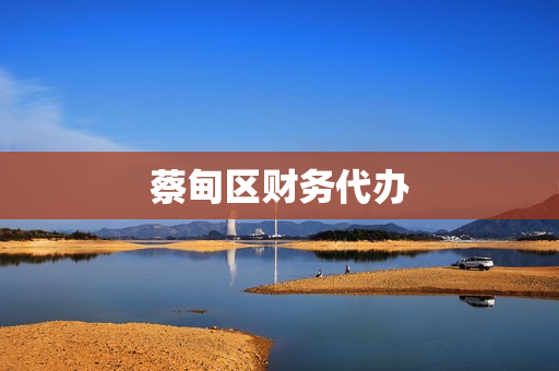 蔡甸区财务代办(财务代办公司具体业务)