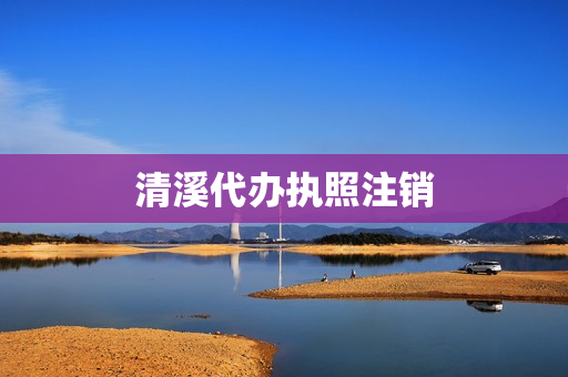 清溪代办执照注销(代办执照)