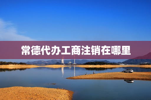 常德代办工商注销在哪里(个体工商户网上注销)
