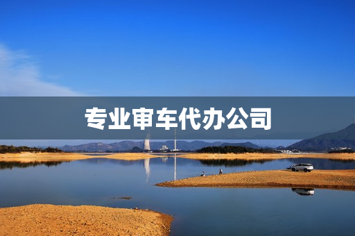 专业审车代办公司(工商代办服务公司)