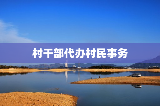 村干部代办村民事务(村干部为民办实事内容)