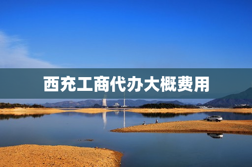 西充工商代办大概费用(工商代办服务公司)