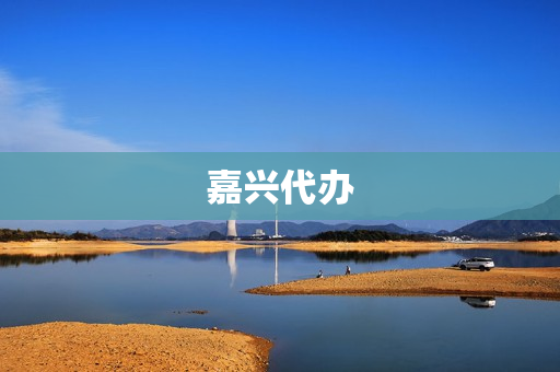 嘉兴代办(嘉兴代办公司注册公司)