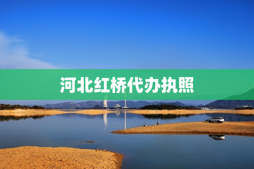 河北红桥代办执照(代办执照)