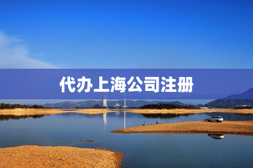 代办上海公司注册(企业代办公司)
