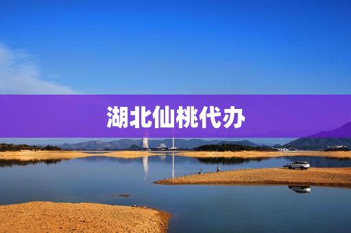 湖北仙桃代办(湖北省仙桃市人才服务中心)