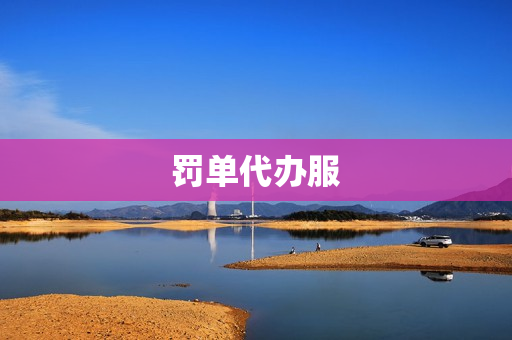 罚单代办服(三农金服代办站)