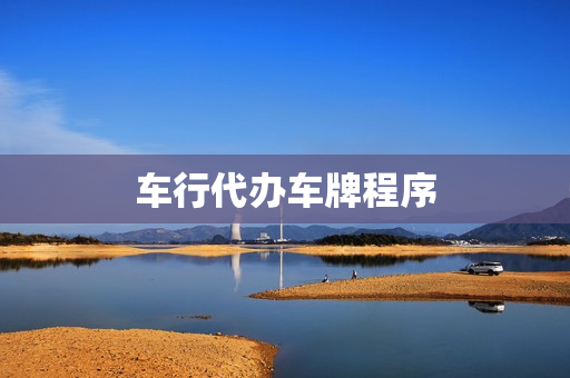 车行代办车牌程序(代办车牌照需要带些什么)