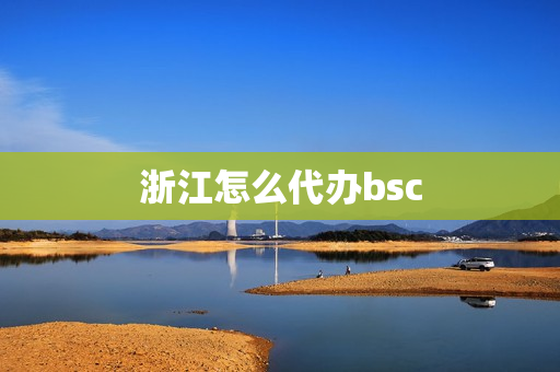 浙江怎么代办bsc(浙江代办公司)