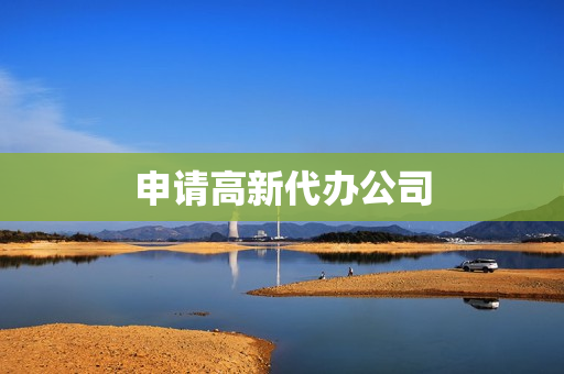 申请高新代办公司(如何申请高新技术企业流程)