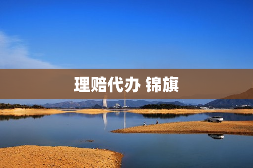 理赔代办 锦旗(理赔锦旗图片)
